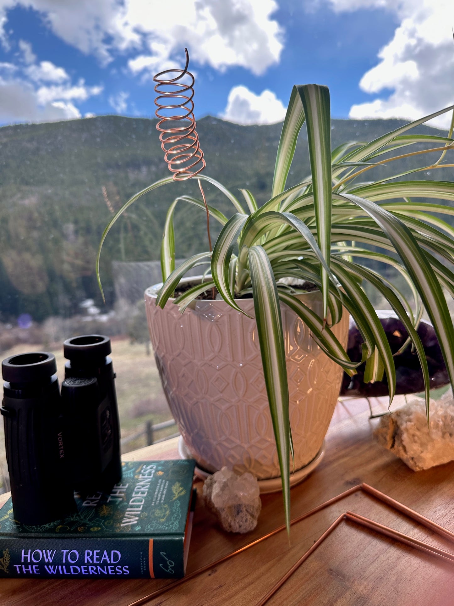 Electroculture Plant Stake