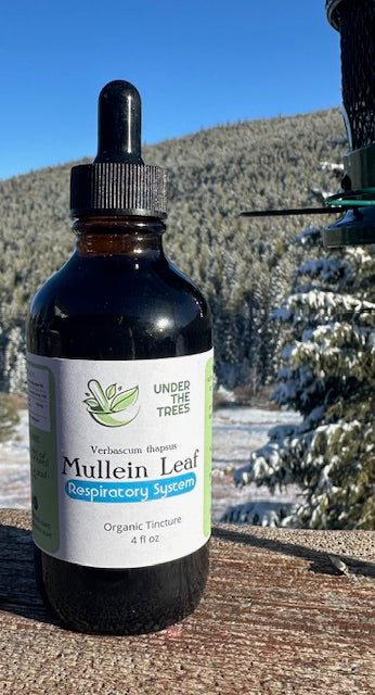 Mullein Leaf - Tincture