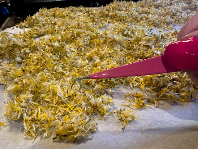 Dandelion Petals - Tincture