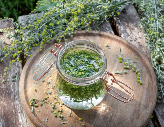 Wormwood - Tincture